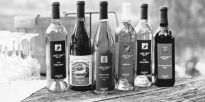 wine bottles lined up